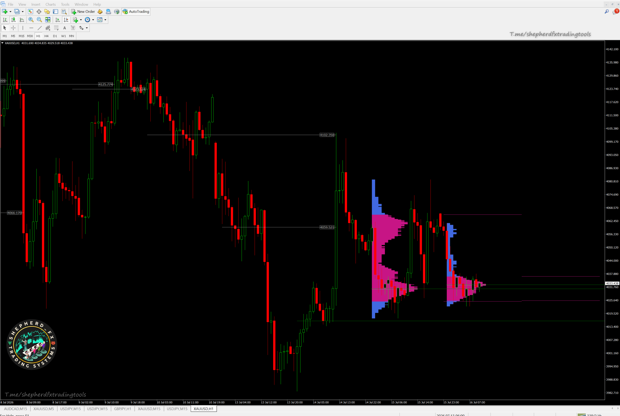 Market Profile — MT4 TPO Value Area, POC & Virgin POC