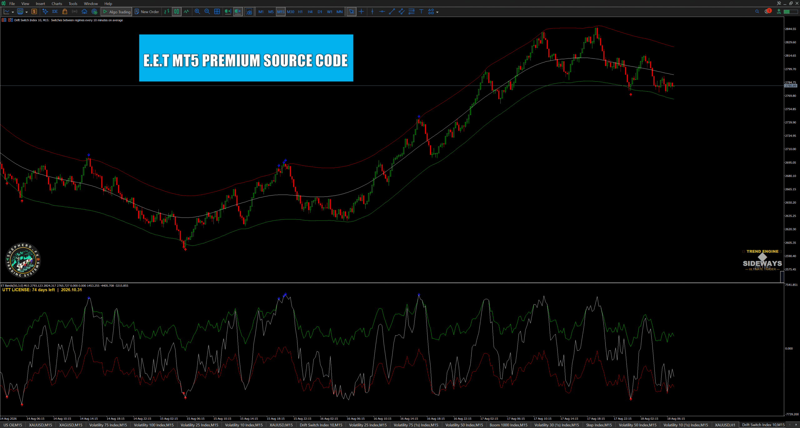 E.E.T MT5 Premium Source Code - Entry & Exit Timer indicator on chart with elastic bands and momentum arrows